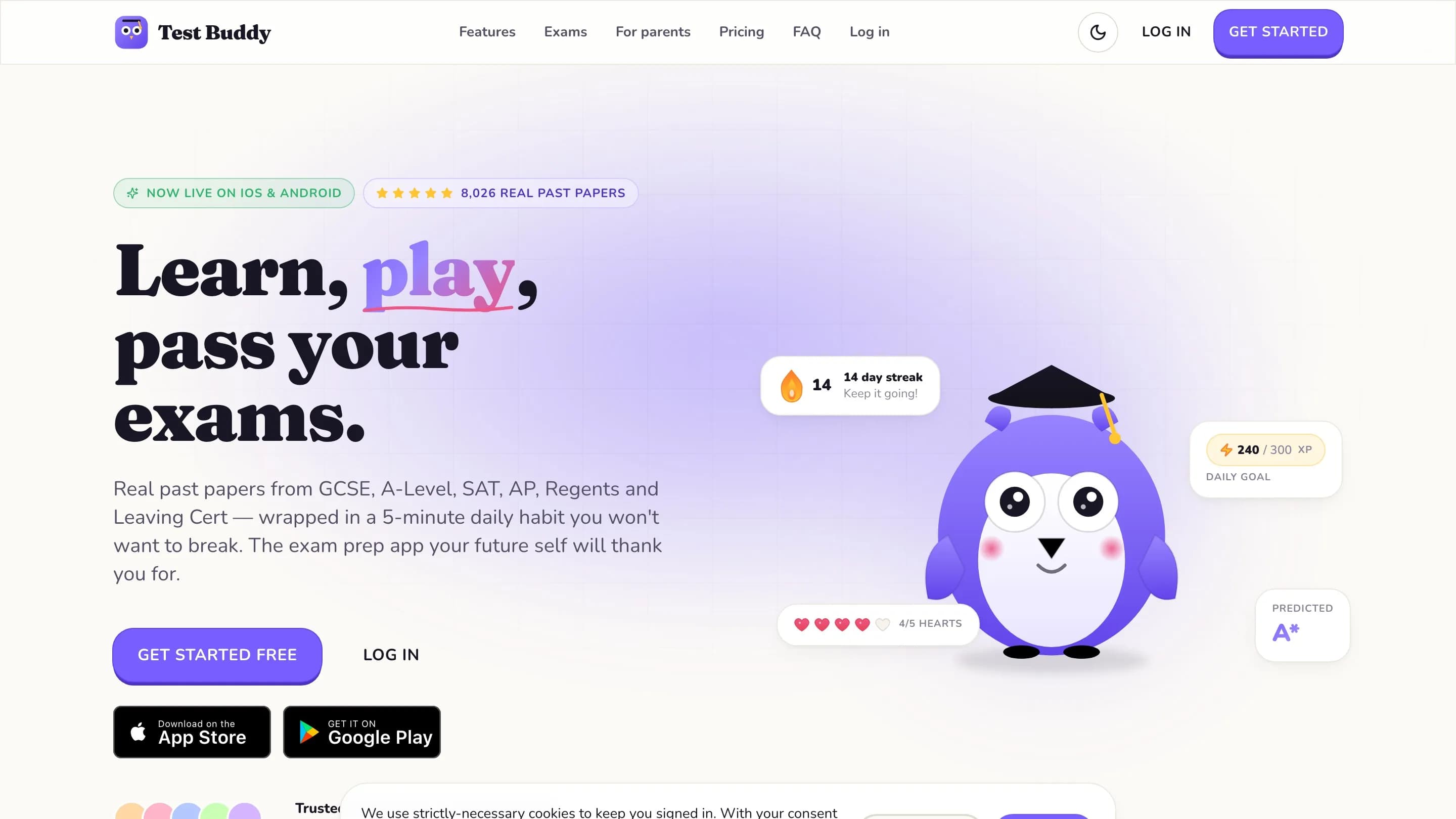 Test Buddy — product screenshot